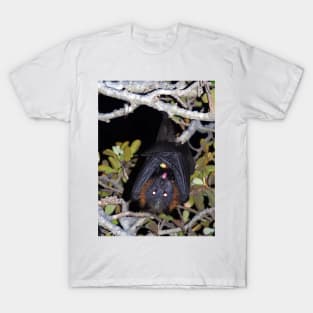 Grey-headed flying fox T-Shirt